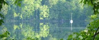 Vue d'un lac à travers les branches en été dans la municipalité d'Amherst, Laurentides